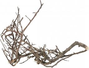 Akvārija dekorācija Terra Natura Japanese Root 42040, melna krās., 15 cm