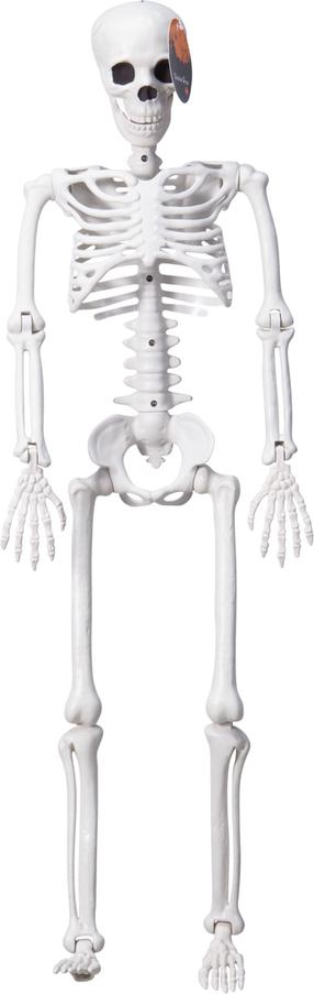 Dekoracija vaikams/suaugusiems, skeletas 477900080, balta sp., 24 cm x 9 cm x 90 cm