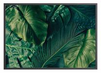 Paveikslas DecoKing Palmforest, 100 cm x 70 cm