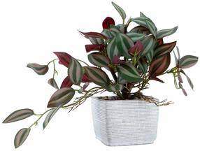 Dirbtinis augalas vazone Home4you Greenland, žalia sp., 19 cm