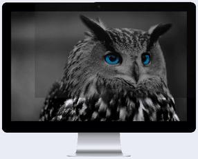 Privātuma filtrs (Privacy filter) Natec Owl 23.8" 16:9, 23.8 "