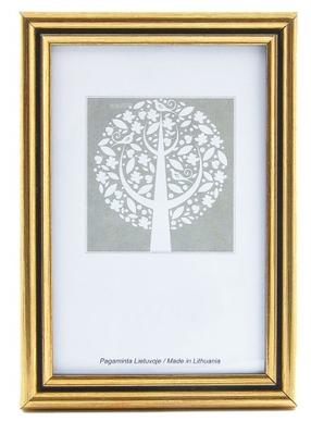 Nuotraukų rėmelis ECO 1301112, 40 cm x 30 cm, aukso sp.