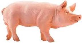 Rotaļlietu figūriņa Russell Pig 51044, rozā krās.