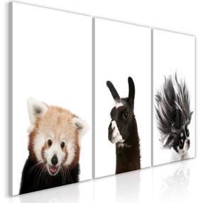 Reprodukcija Artgeist Friendly Animals Collection N8260, 60 cm x 30 cm