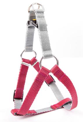 Petnešos šunims Dingo Twilight Silver, bordo sp., 520 - 740 mm x 20 mm, 70