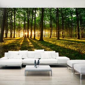 Фотообои Artgeist Mystical Morning II 500280VFT1018, 280 см x 500 см