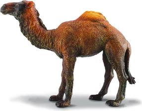 Žaislinė figūrėlė Collecta Dromedary Camel 88208, 10 cm, ruda sp.