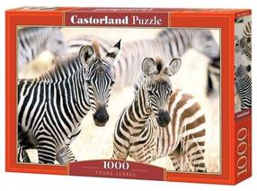Pusle Castorland Young Zebras 105021, 47 cm x 68 cm, 1000 tk, mitmevärviline