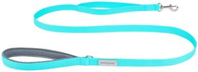 Suņu pavada Amiplay Samba, tirkīza krās., XL, 1.5m x 2.5cm