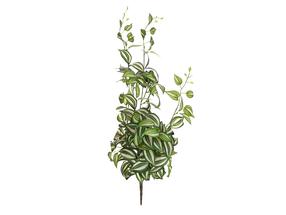 Mākslīgais augs podiņā Domoletti, zaļa krās., 80 cm x 32 cm