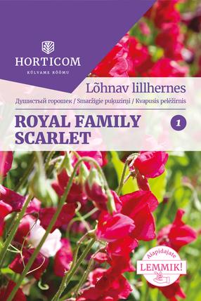 Seemned Horticom lõhnav lillhernes, 5 g