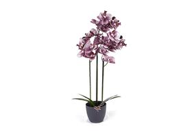 Mākslīgie ziedi puķu podā, orhideja Domoletti, rozā krās., 70 cm