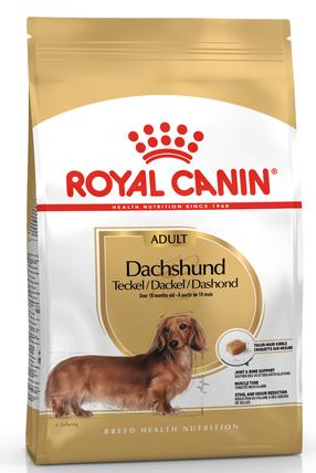 Sausas šunų maistas Royal Canin Dachshund, vištiena, 0.5 kg
