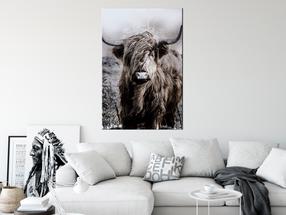 Reprodukcija Artgeist Highland Cow In Sepia, g-c-0364-b-a, 80 cm x 120 cm