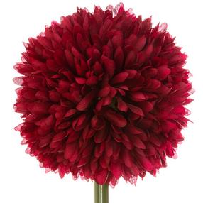 Mākslīgais zars Atmosphera Pompom, daudzkrāsaina/(krāsa/dizains tiek izvēlēts nejauši), 60 cm