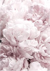 Foto paveikslas Pink Bouquet, 50 cm x 70 cm