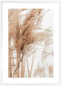 Foto paveikslas Grass No.1, 50 cm x 70 cm