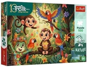 Dėlionė Trefl The Treflik Family: Monkeys and Friends, 41 cm x 27 cm, 100 vnt.