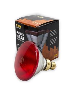 Terraariumi lambipirn Power Heat, 0.38 kg, 175 W