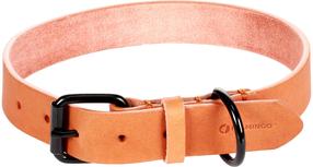 Antkaklis šunims Flamingo Leano, ruda sp., 520 - 620 mm x 30 mm, XXL