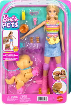 Nukk aksessuaaridega Mattel Barbie Pets JMJ44, 30 cm, mitmevärviline