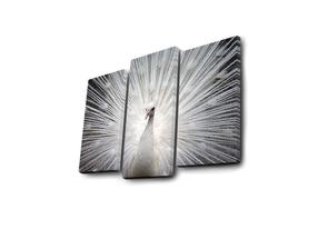 Reprodukcija Wallity 3PATDACT-12, 66 cm