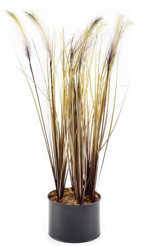Dirbtinis augalas vazone, žolė Mondex Artificial Flower HTQB3745, ruda sp./žalia sp., 55 cm x 12.5 cm