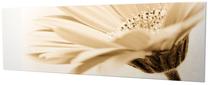 Reprodukcija Wallity PC003, 80 cm x 30 cm