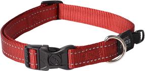 Antkaklis šunims Rogz Utility Classic, raudona sp., 340 - 560 mm x 20 mm, 34-56