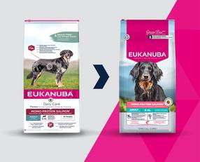 Kuiv koeratoit Eukanuba Daily Care Mono Protein Salmon, lõhe, 12 kg