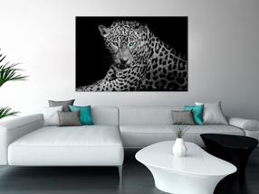Reprodukcija Artgeist Leopard Portrait, g-b-0071-b-a, 30 cm x 20 cm