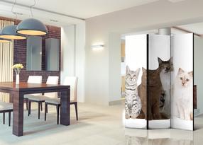 Ширма Artgeist Sweet Cats Paravent1080, многоцветный, 135 см x 172 см