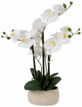 Mākslīgais augs podiņā, orhideja Home4you Wind In Garden, bēša krās., 55 cm