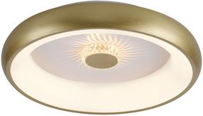 Šviestuvas lubų ir sienų Paul Neuhaus Vertigo 14384-60, LED, 2700 - 5000 °K, 1 x 29 W, balta sp. / žalvario sp.