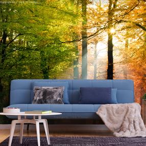 Fototapetas Artgeist Forest Colours, 70 cm x 100 cm