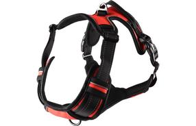 Petnešos šunims Flamingo Balou, raudona sp., 800 - 1050 mm x 25 mm, XL