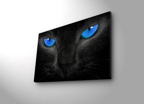 Reprodukcija Wallity 4570DACT-45, 70 cm x 45 cm