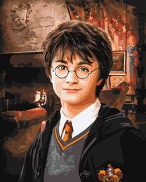 Tapymas pagal skaičius Harry Potter, (spalva/dizainas parenkami atsitiktine tvarka)