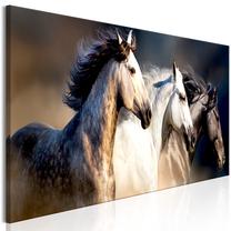Reprodukcija Artgeist Sons Of The Wind, g-b-0131-b-a, 120 cm x 40 cm