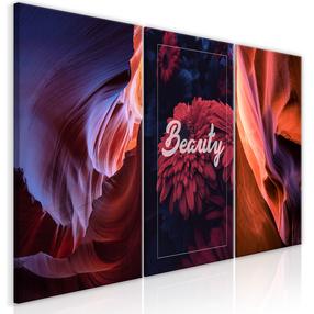 Reproduktsioon Artgeist Beauty Of Canyons N8610SPWD, 60 cm x 30 cm