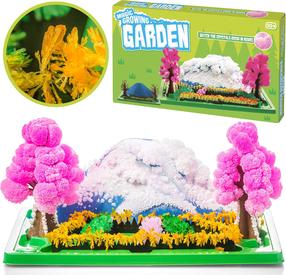 Kritālu audzēšanas komplekts Magic Growing Garden, daudzkrāsaina