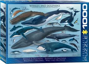 Пазл Eurographics Whales And Dolphins 6000-0082, 67.6 см x 48.9 см, 1000 шт., синий цв./белый цв.