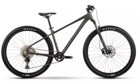 Dviratis kalnų Raymon Nayta Ultra, 29 ", M rėmas, antracito sp./juoda sp.