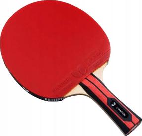 Lauatennise reket Butterfly Champion