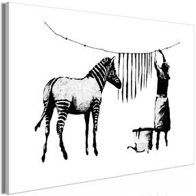 Reproduktsioon Artgeist Banksy: Washing Zebra MDF02, 30 cm x 20 cm