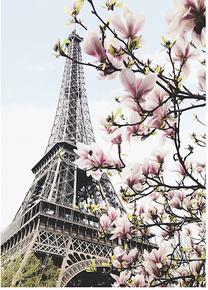 Foto paveikslas Spring Eiffel Tower, 50 cm x 70 cm