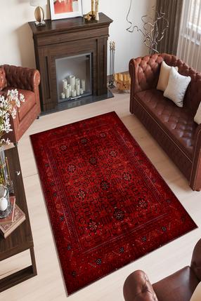 Kilimas Conceptum Hypnose W1091, įvairių spalvų, 280 cm x 180 cm