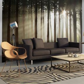 Fototapeet Artgeist Coniferous forest XXLFTNT0966, 231 cm x 300 cm