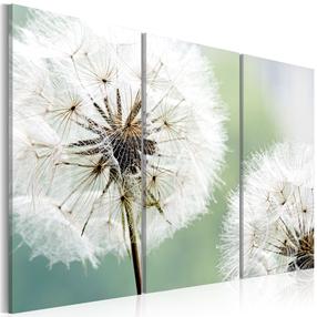 Akrila stikla reprodukcija Artgeist Fluffy Dandelions, 40 cm x 80 cm