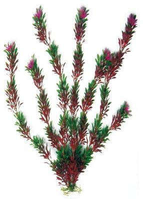 Akvārija dekorācija Amtra Plant Flora Bicolour MD, 17 cm